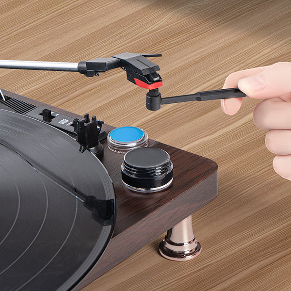 Vinyl Record Cleaning Kit