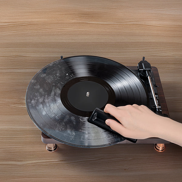 Vinyl Record Cleaning Kit