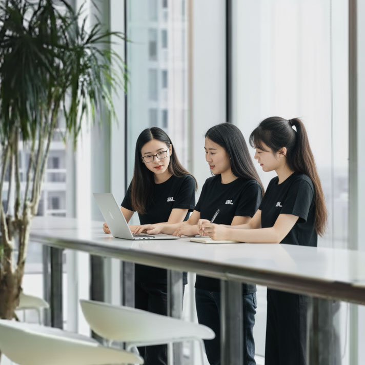 <strong>Meet Our Team</strong>